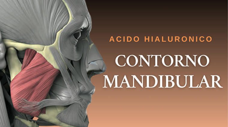 curso contorno mandibular